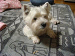 DSC00672.JPG