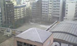 DVC00038.JPG