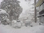 DSC00733.JPG