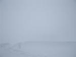 DSCF0440.jpg