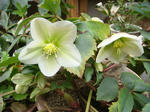 DSC00738.JPG