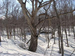 DSC00126.JPG