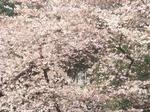 DSC00815.JPG