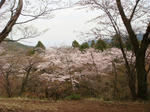 DSC00876.JPG