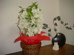 DSC01035.JPG