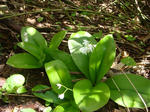 DSC01047.JPG