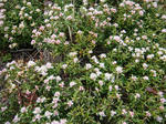DSC01060.JPG