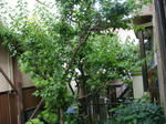 DSC01096.JPG