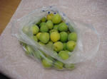 DSC01097.JPG