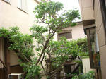 DSC01098.JPG