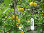 DSC01102.JPG