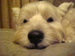 DSC00529.JPG