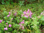 DSC01149.JPG