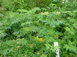 DSC01150.JPG
