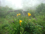 DSC01155.JPG