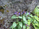 DSC01156.JPG