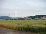 DSC01182.JPG