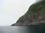 DSC01231.JPG