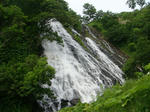 DSC01259.JPG