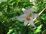 DSC01275.JPG
