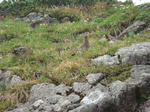 DSC01292.JPG