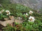 DSC01307.JPG