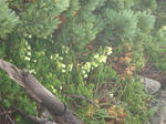 DSC01311.JPG
