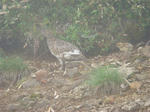 DSC01325.JPG