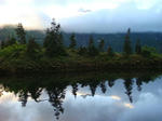 DSC01390.JPG