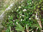 DSC01288.JPG
