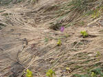 DSC01329.JPG