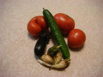 DSC01442.JPG