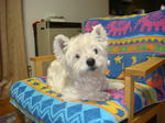 DSC01074.JPG