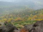 DSC01501.JPG