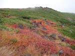 DSC01504.JPG