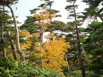 DSC01525.JPG
