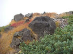 DSC01502.JPG