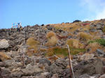 DSC01505.JPG