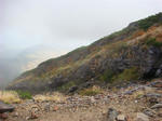 DSC01514.JPG