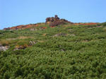 DSC01515.JPG