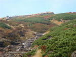 DSC01516.JPG
