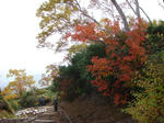 DSC01522.JPG