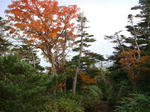 DSC01523.JPG