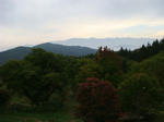 DSC01529.JPG