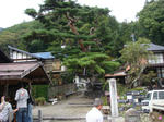 DSC01531.JPG