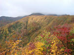 DSC01550.JPG