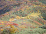 DSC01565.JPG