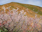 DSC01584.JPG