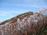 DSC01590.JPG