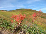 DSC01600.JPG